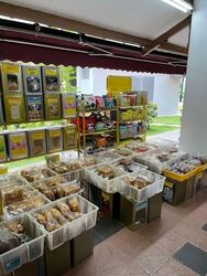 Bishan Green (D20), Shop House #605342441